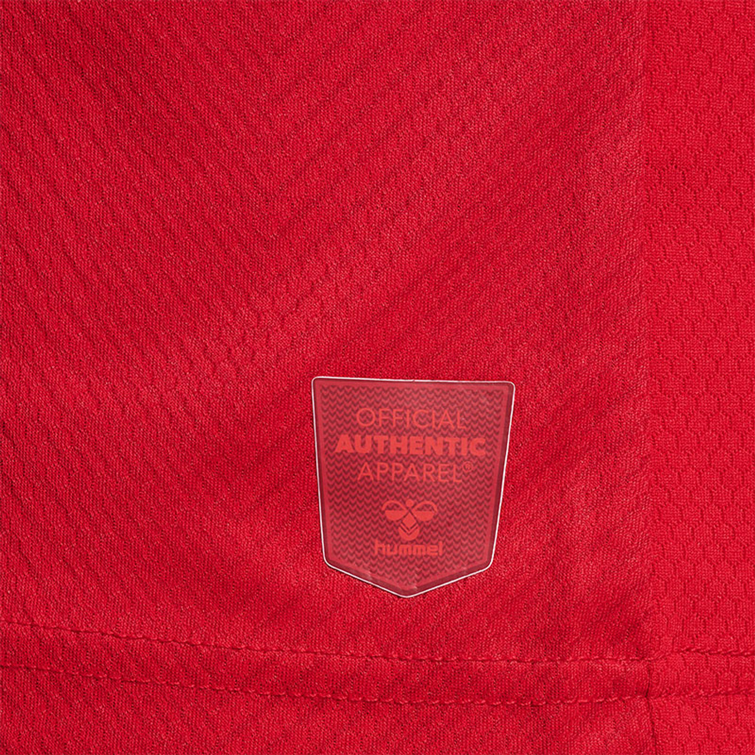 Hummel Denemarken Thuis Tenue Kids