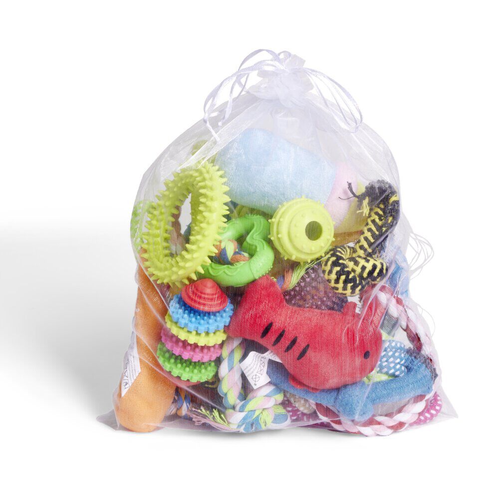 Ensemble 18 jouets pour chien
