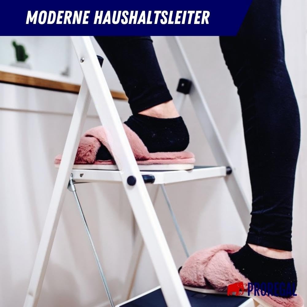 PROREGAL Vouwladder Economy Basic, eenzijdig toegankelijk, 2 treden, werkhoogte 2,46 m, draagvermogen 150 kg