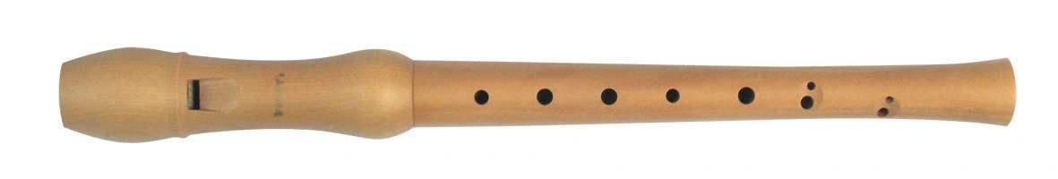 Voggy's Blockflöten-Set