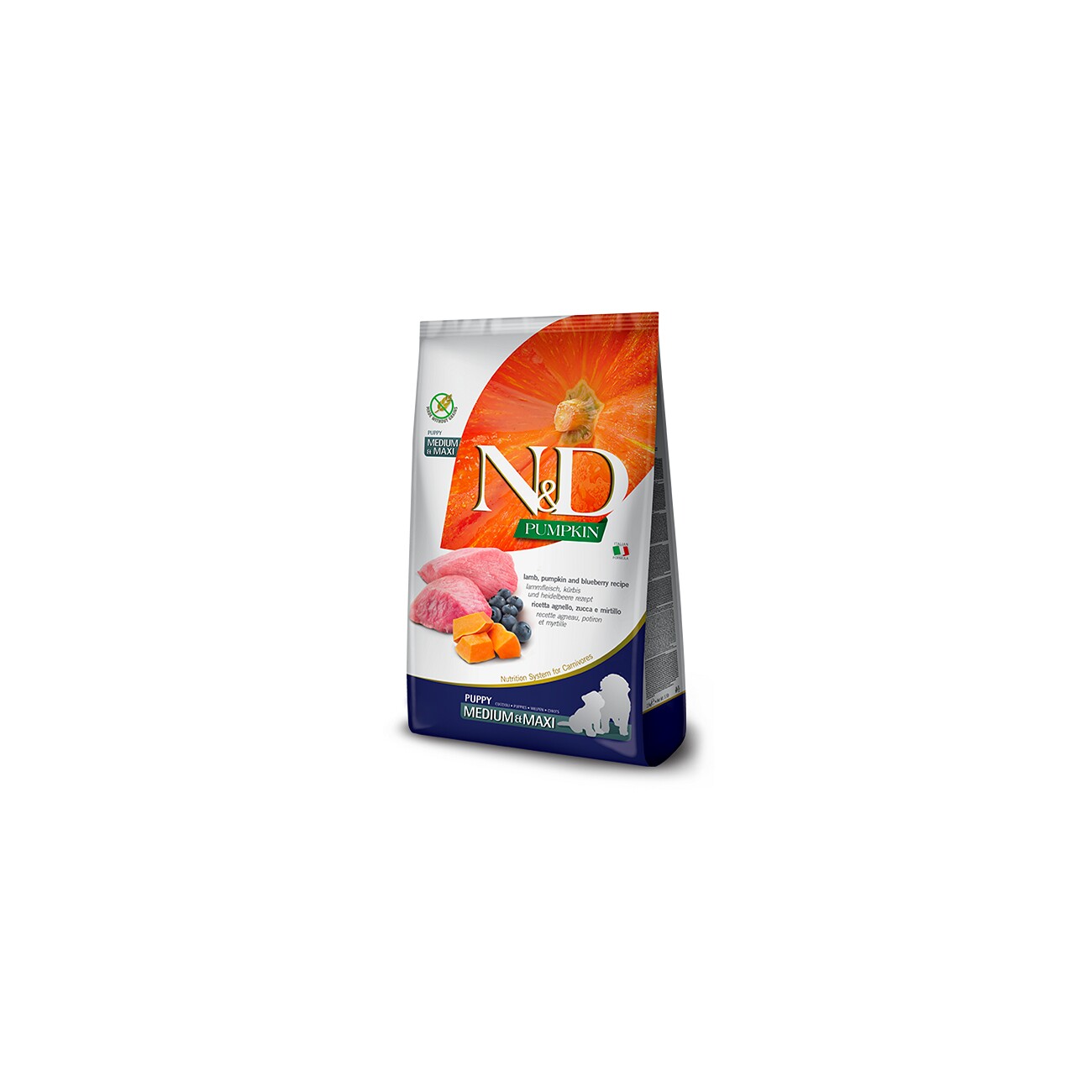 N&D Farmina Pumpkin Medium/Maxi Puppy Lamm 12 kg