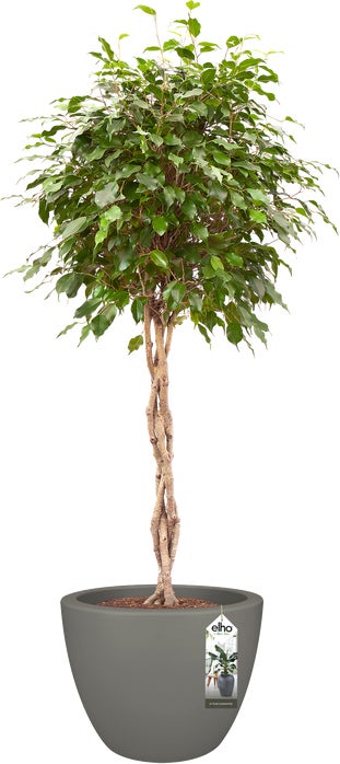 Elho bloempot Pure antraciet D 49 H 37 cm