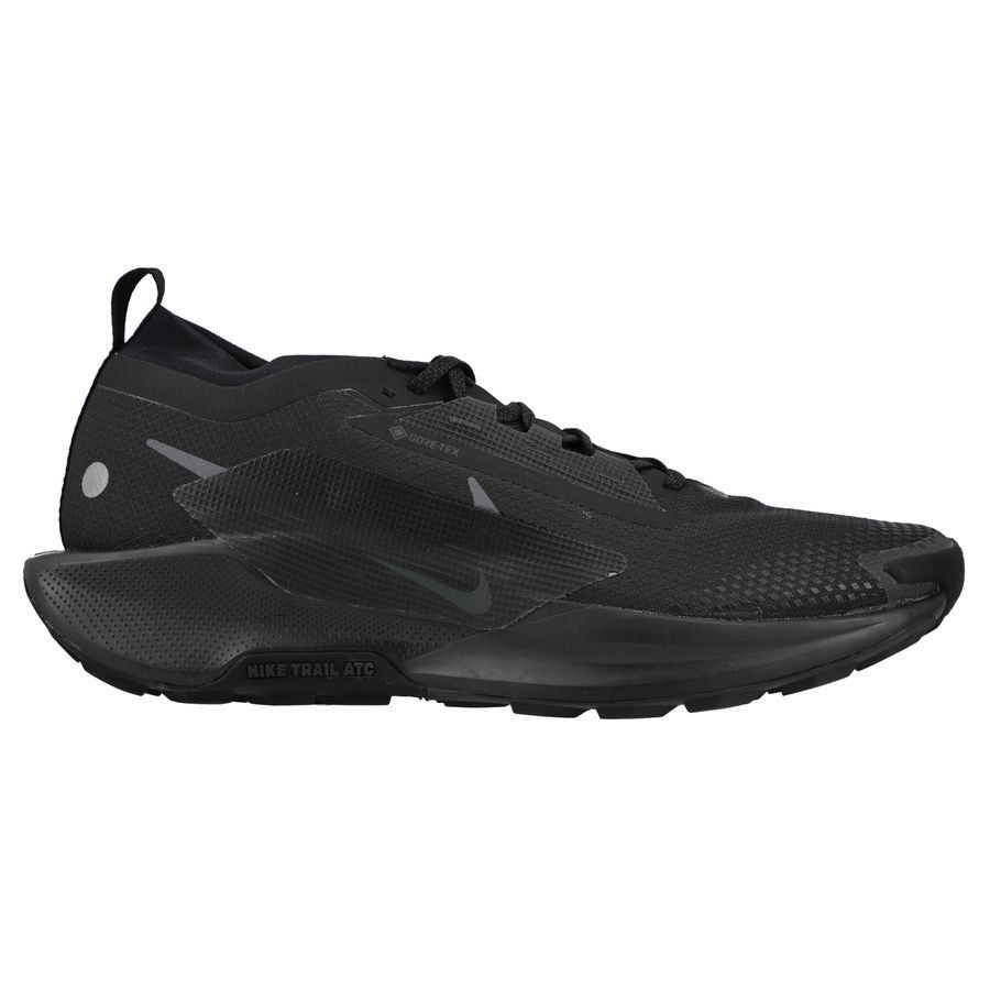 Nike Chaussures de Running Pegasus Trail 5 Gore-Tex - Noir/Gris