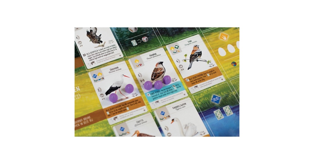 999 GamesWingspan: Europa Bordspel  (Nederlands, Uitbreiding, 1 - 5 spelers, 40 - 70 minuten, Vanaf 10 jaar)