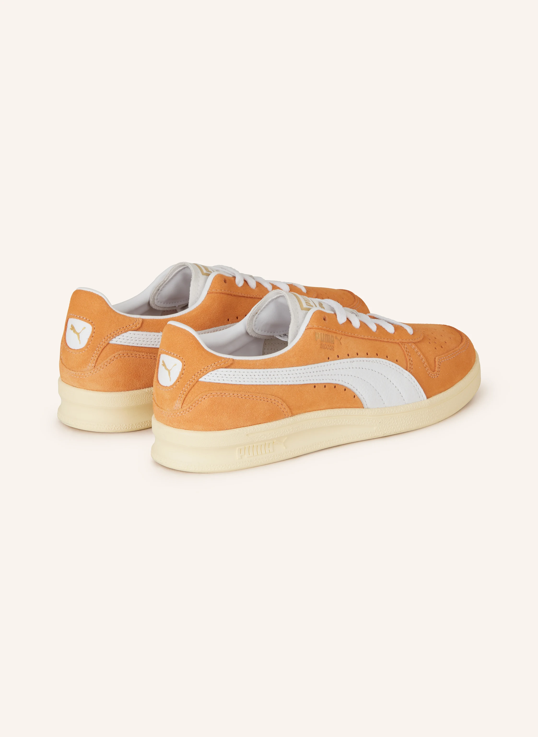 PUMA Sneaker INDOOR SOFT