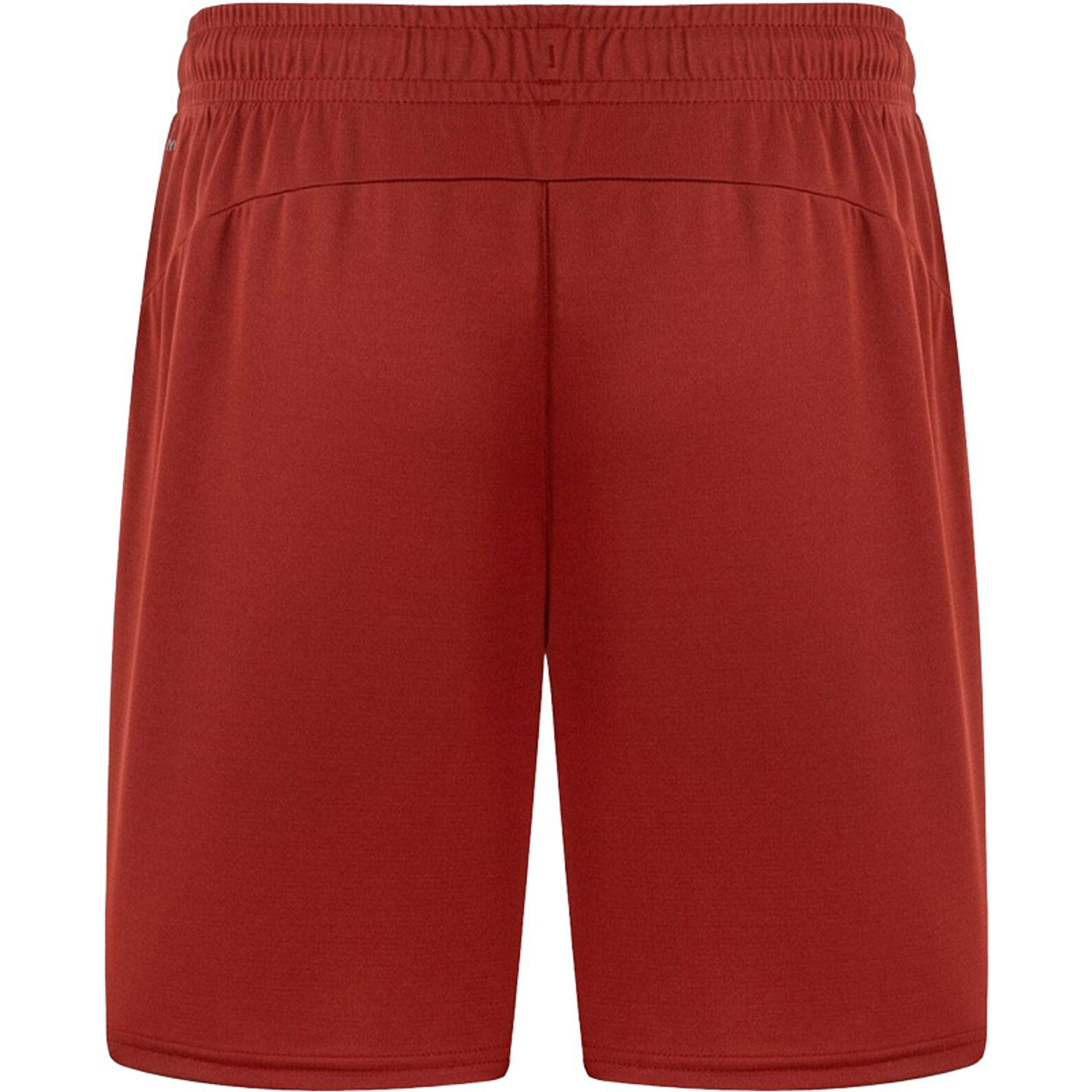 Puma Galatasaray Training Short 2024/2025