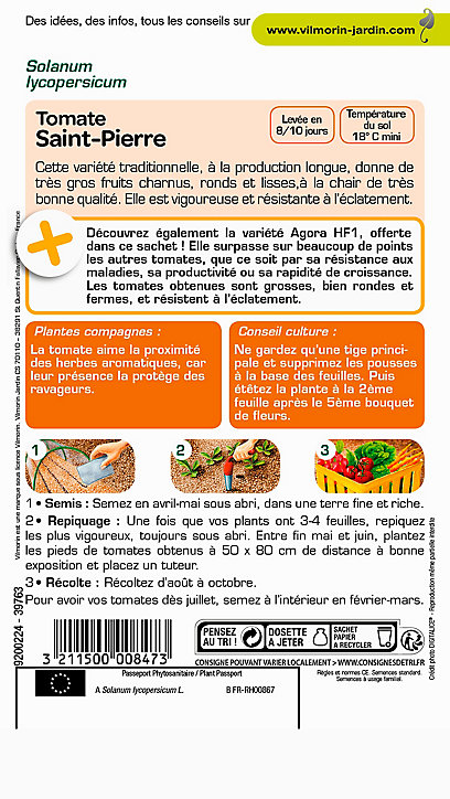 Graines de Tomate Saint Pierre Vilmorin