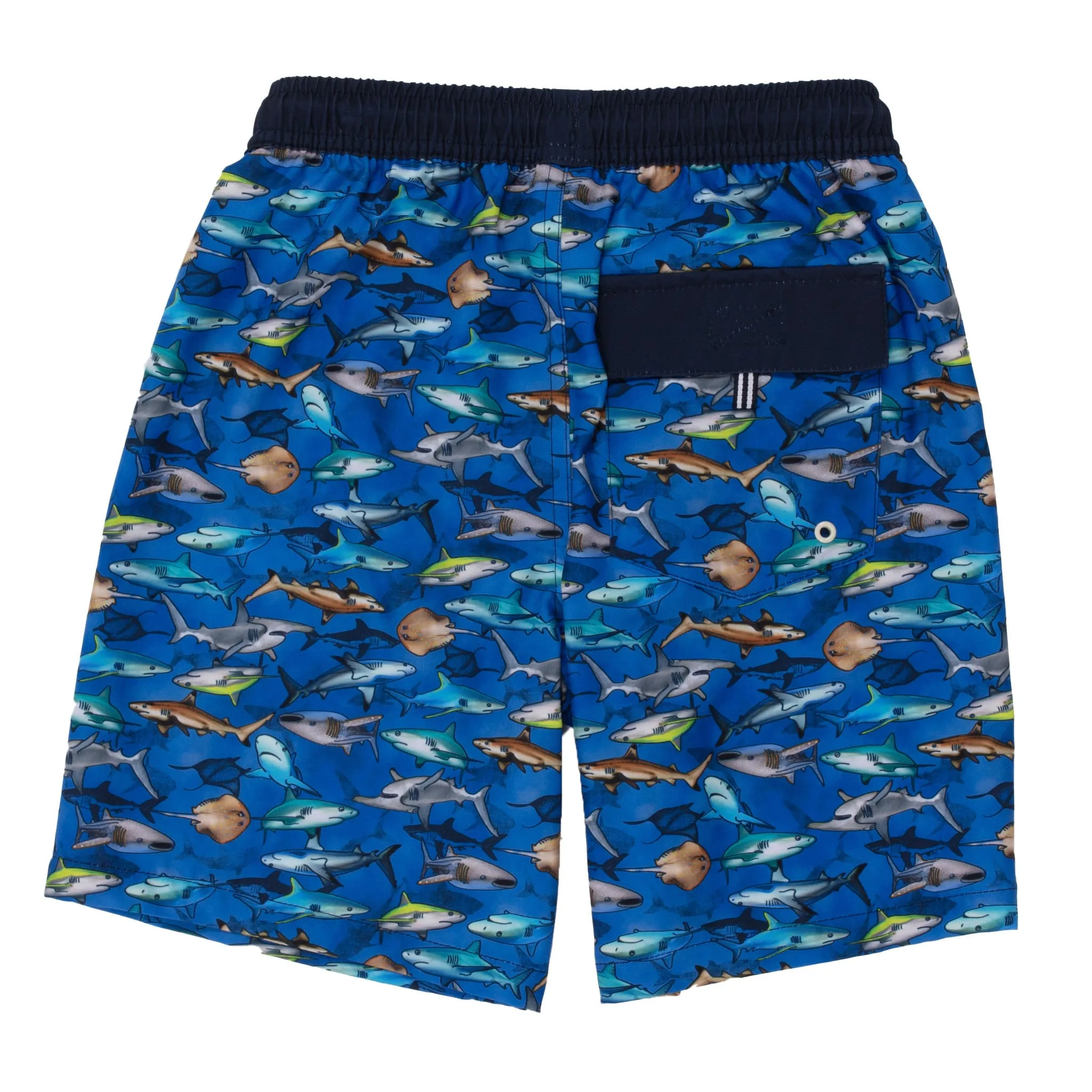 Nanö Short Maillot Requins 2-6ans