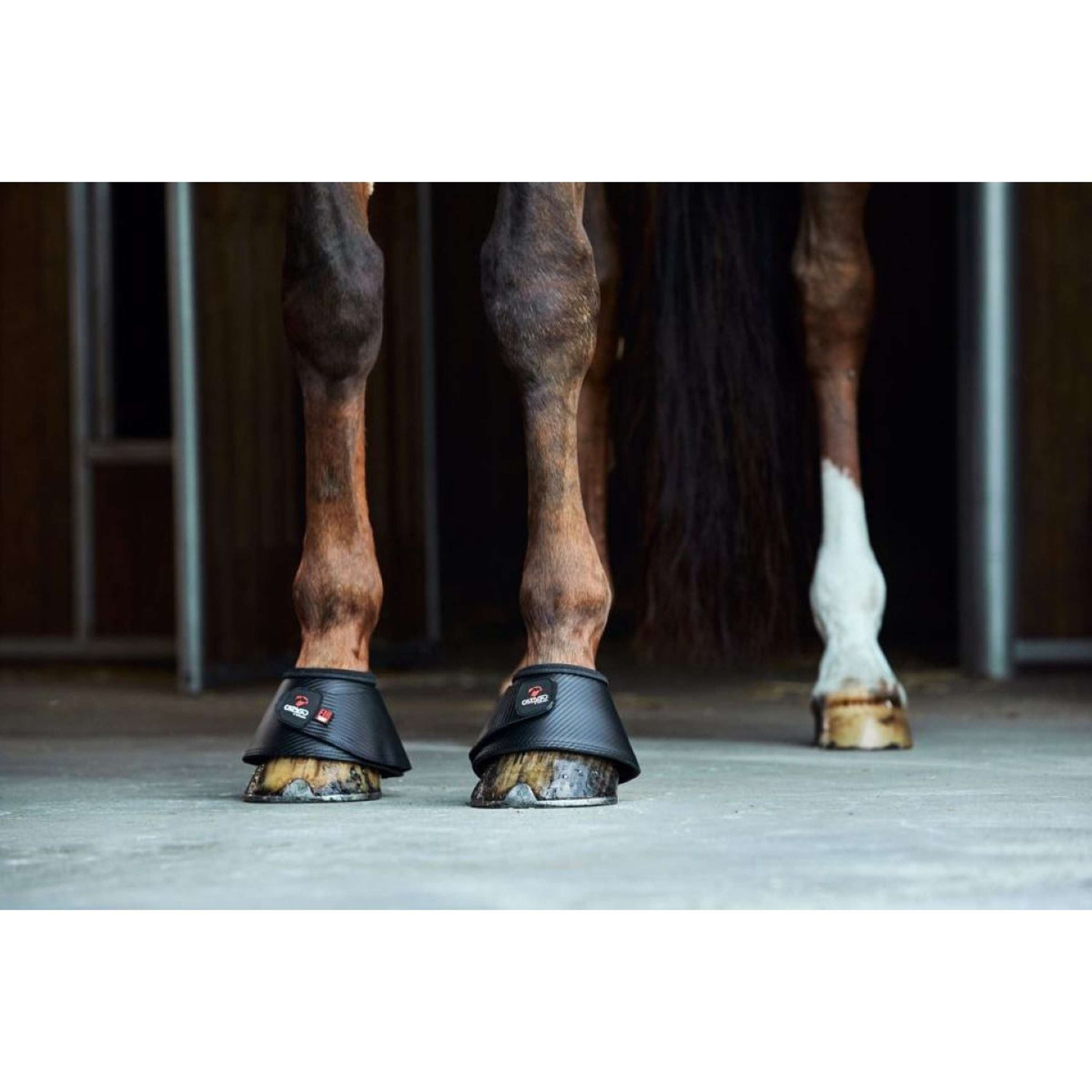 Catago Springschoenen Fir-Tech Zwart
