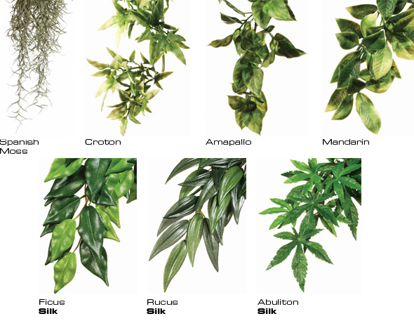 Exo Terra Terrário de plástico para pendurar, planta Papoula, tamanho G