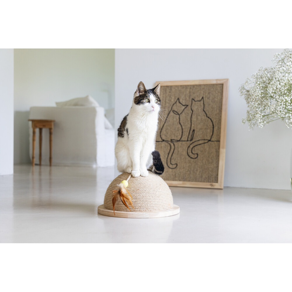 Designed by Lotte Krabplank Hout Poezels70 x 50 x 2 cm