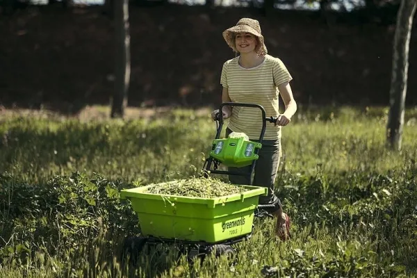 Greenworks G40GC, Motoriseret trillebør, 3 hjul, Solidt hjul, Sort, Grøn, 100 kg, 550 mm