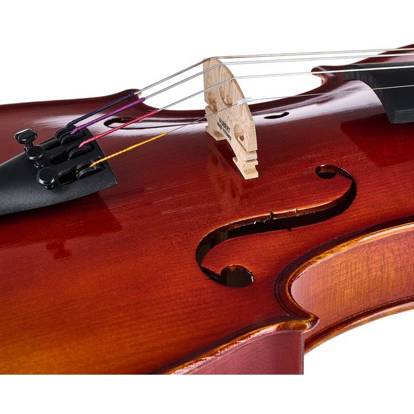 Roth & Junius RJVE Antiqued Violin Set 4/4