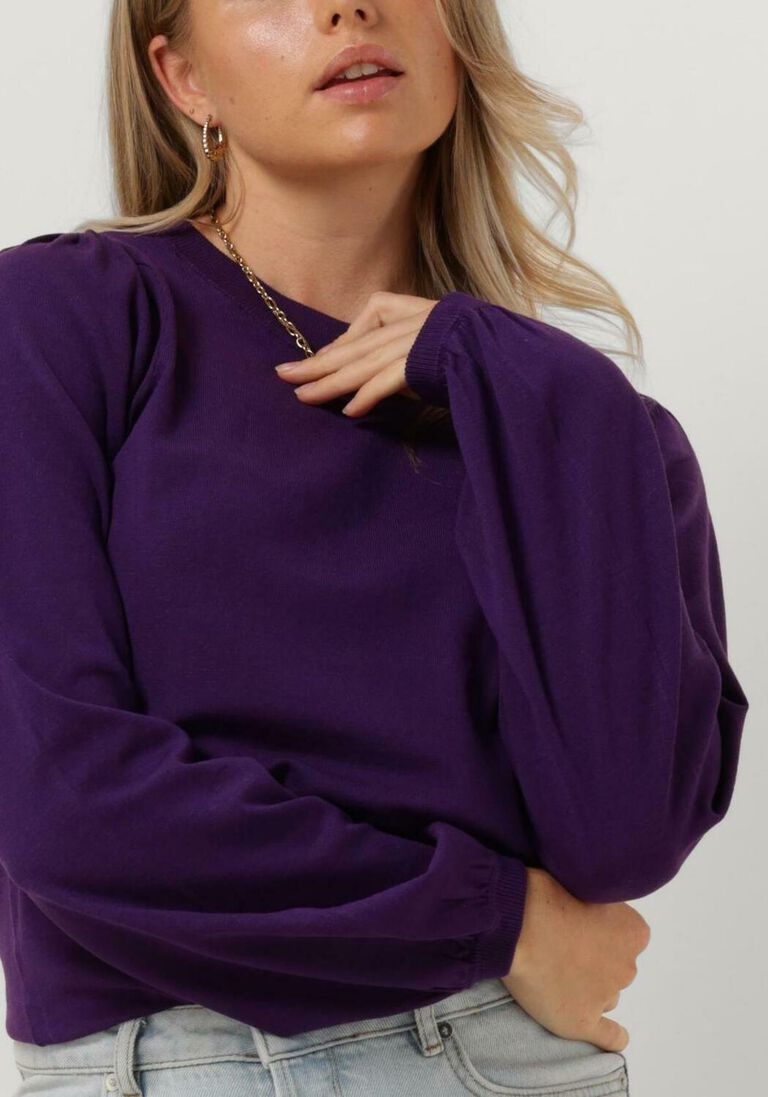 FABIENNE CHAPOT paarse fabienne chapot trui milly pullover 232