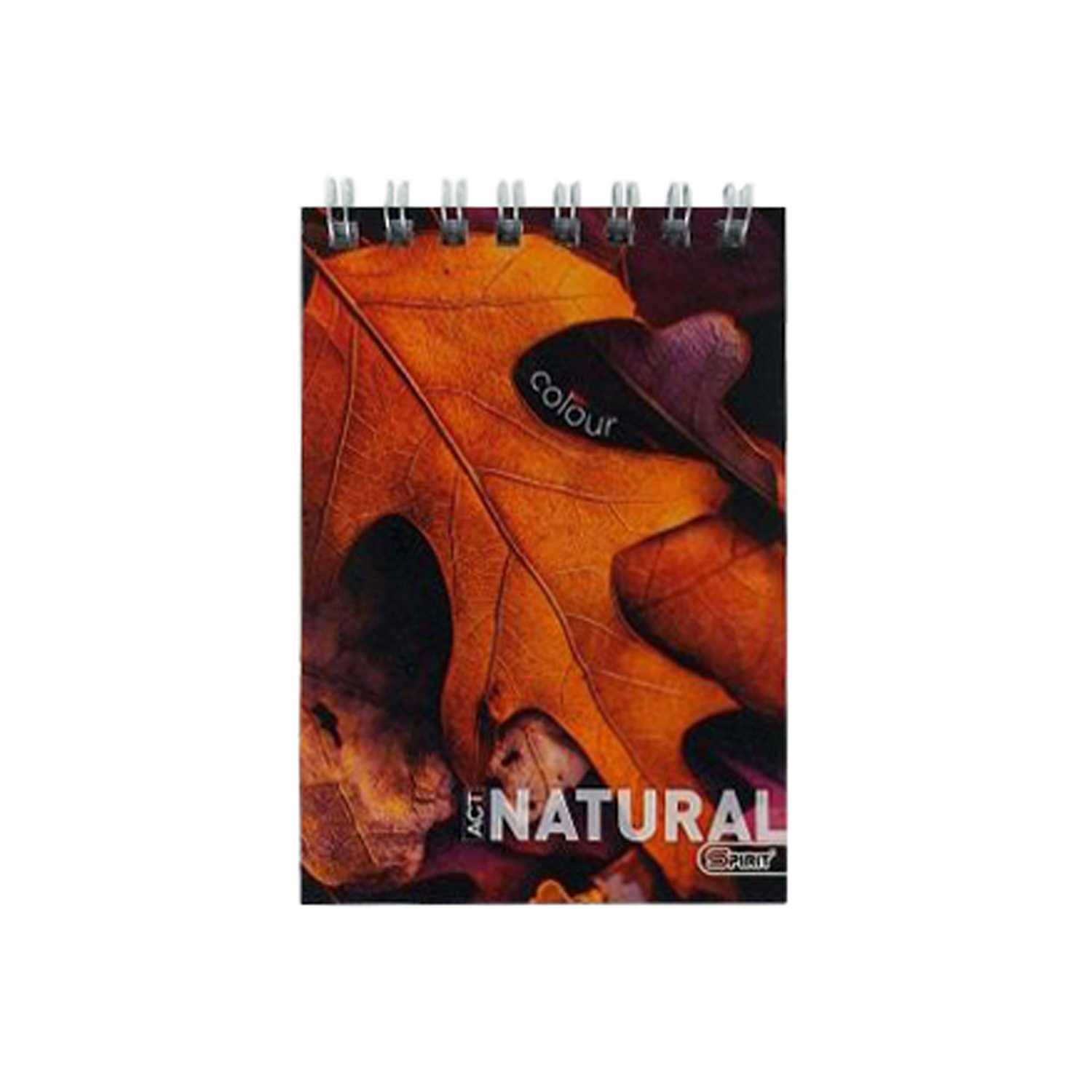 Softcover-Notizbuch DIN A7 kariert 8fach