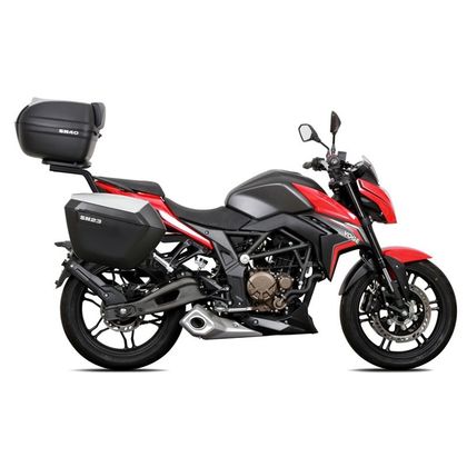 Support valises Shad 3P SYSTEM