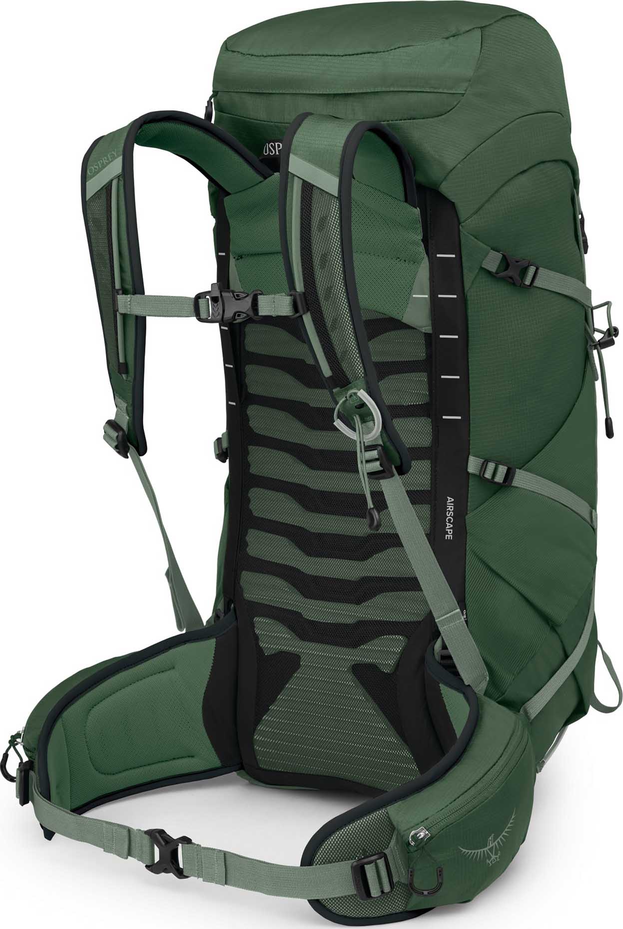 Talon 33 Green Canopy/Pine Leaf