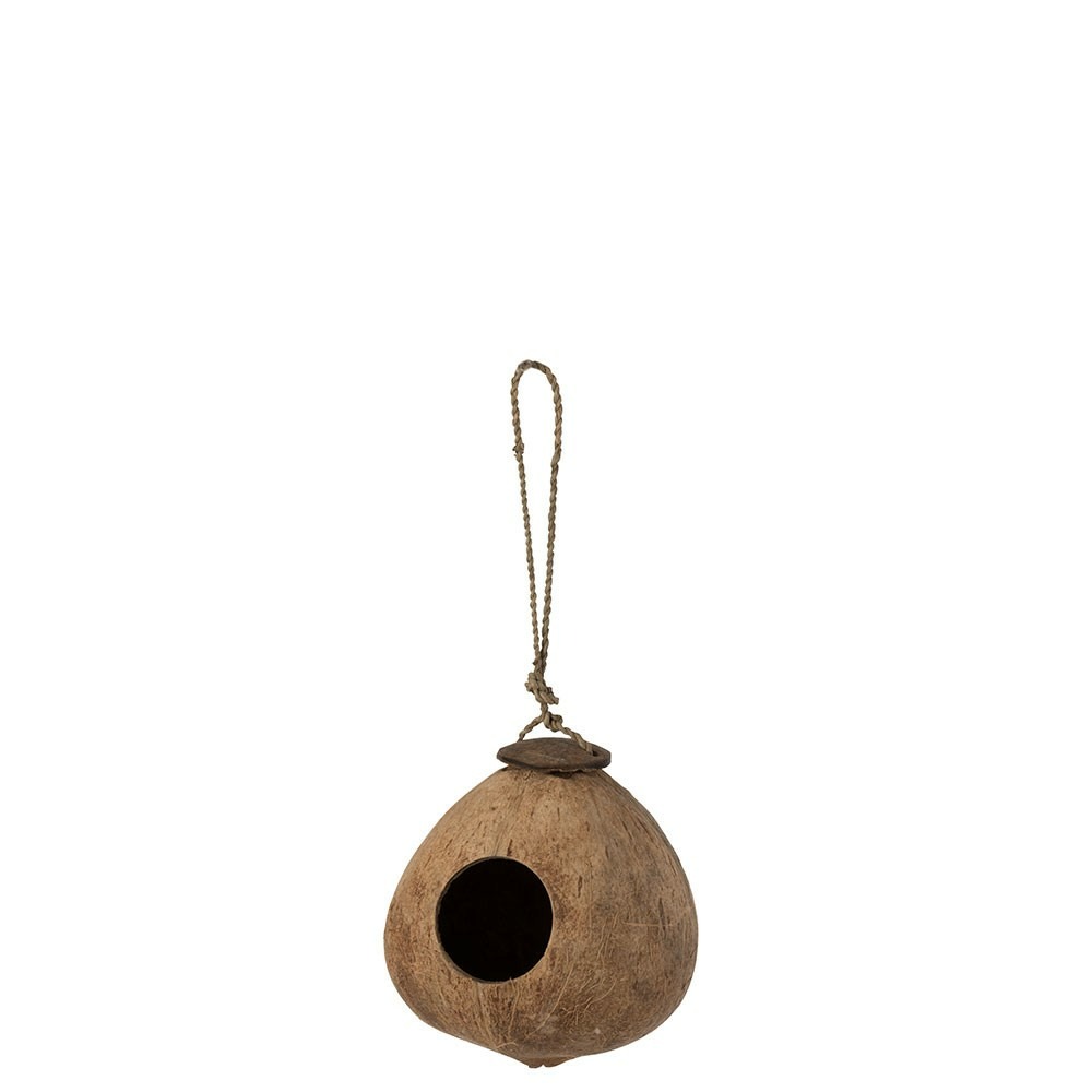 Noix de coco maison marron naturel l