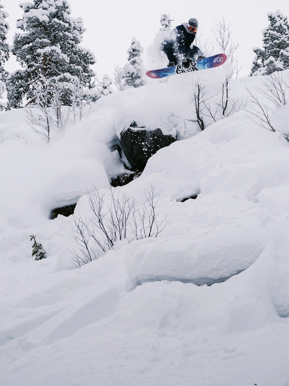 Nidecker Gamma Apx 2024 Snowboard div