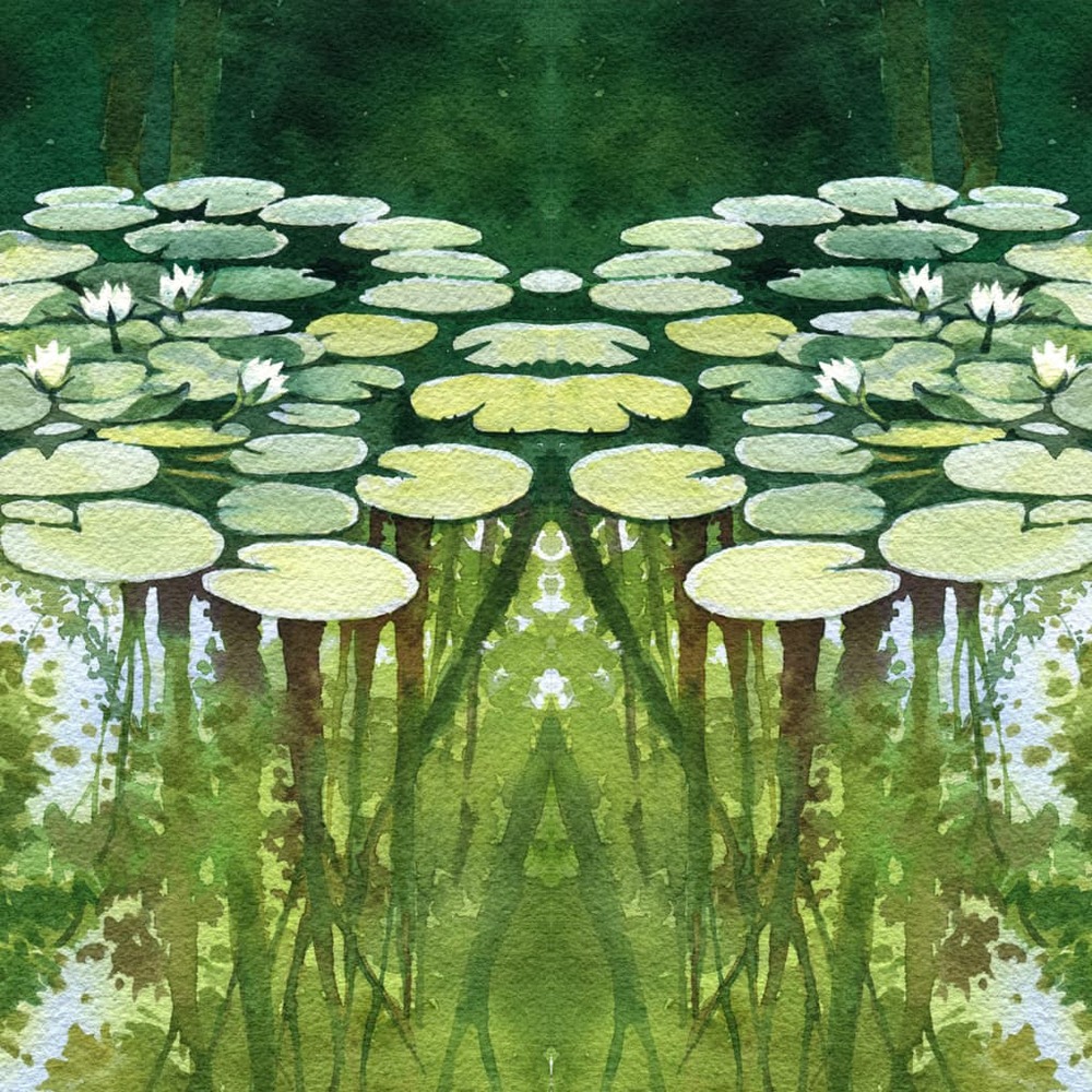 Aqua plants tabs 400g