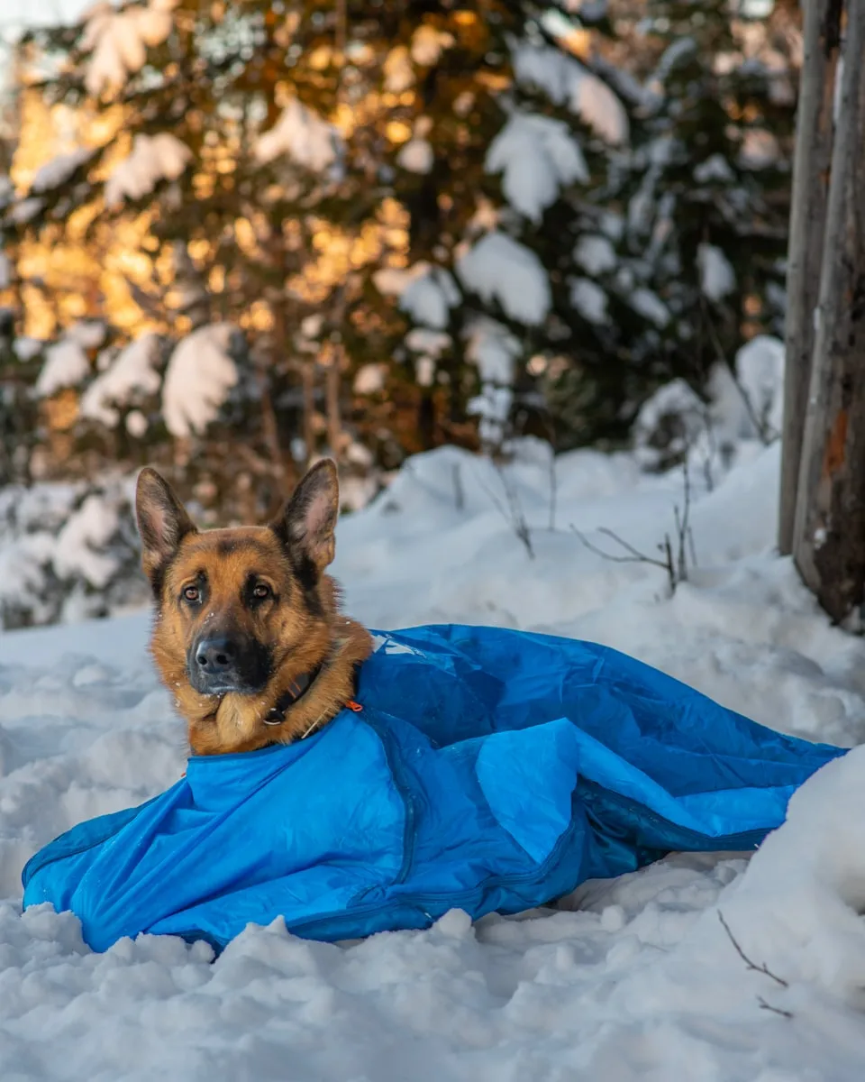 Non-stop Dogwear Ly Sleepingbag For Dog Blue