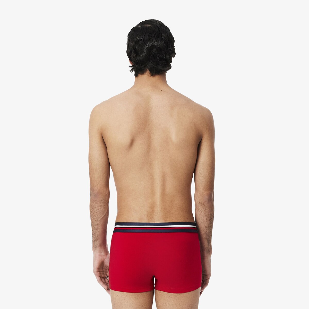 LACOSTE<br>Conjunto de 3 cuecas boxer lisas, algodão elástico