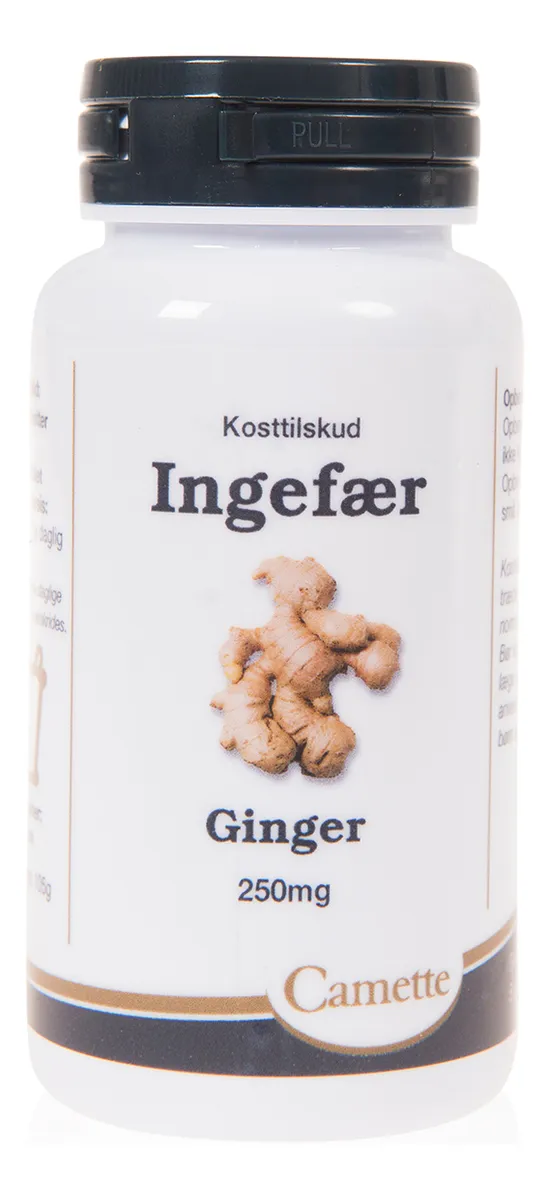 Camette Ingefær - 140 tab.