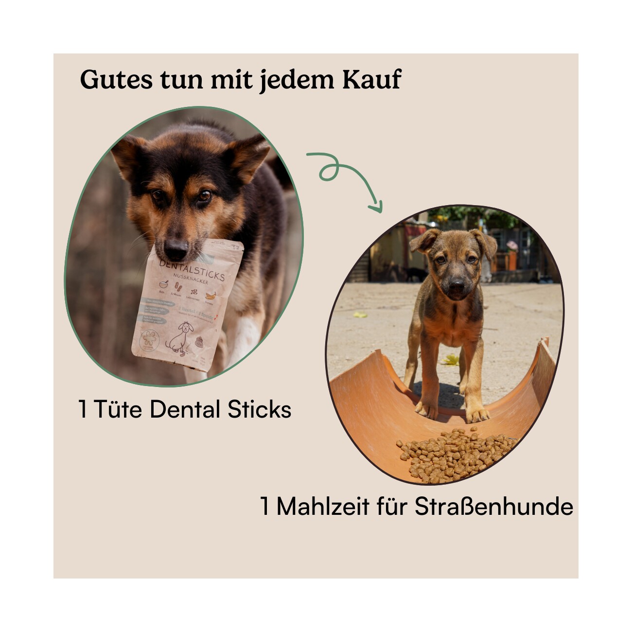 Hunderunde Zahnfee Dental Sticks – Frischer Atem & Zahnpflege 360 g