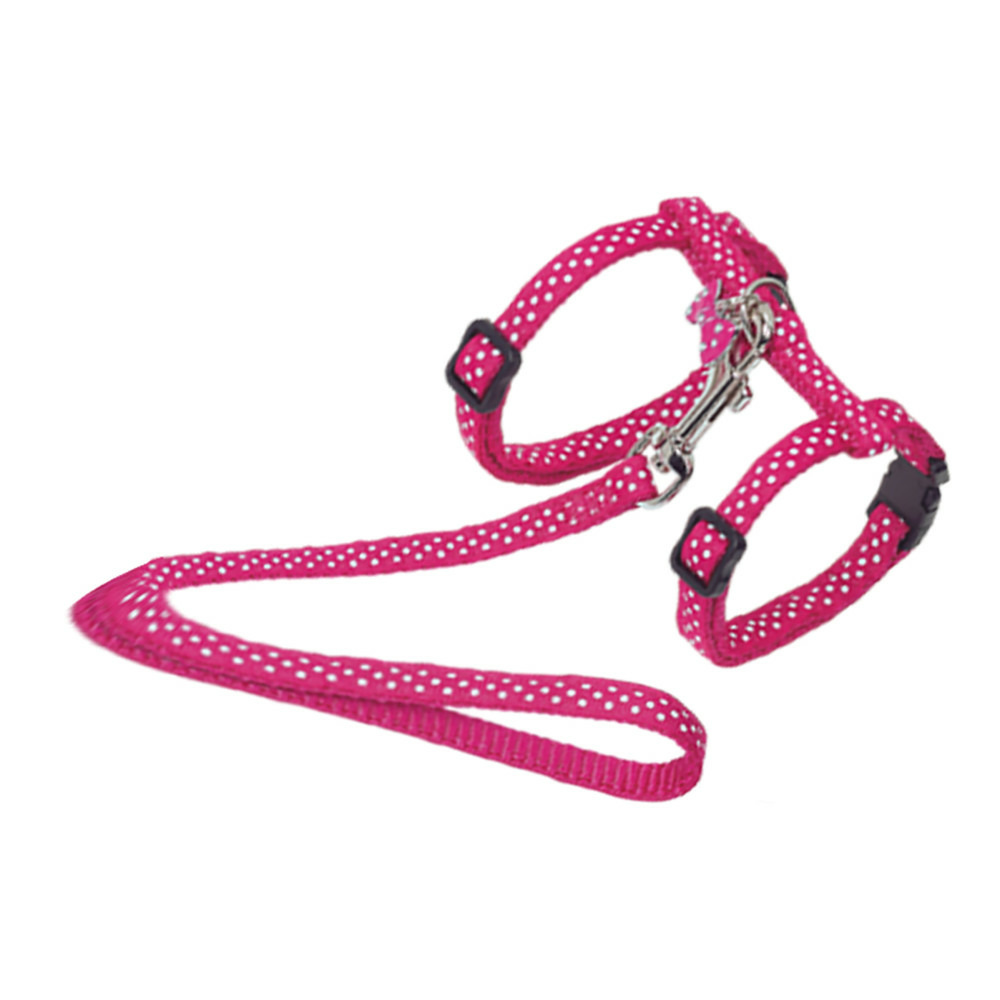 Harnais + laisse 120 cm, à pois fuchsia, réglable, pour chat.
