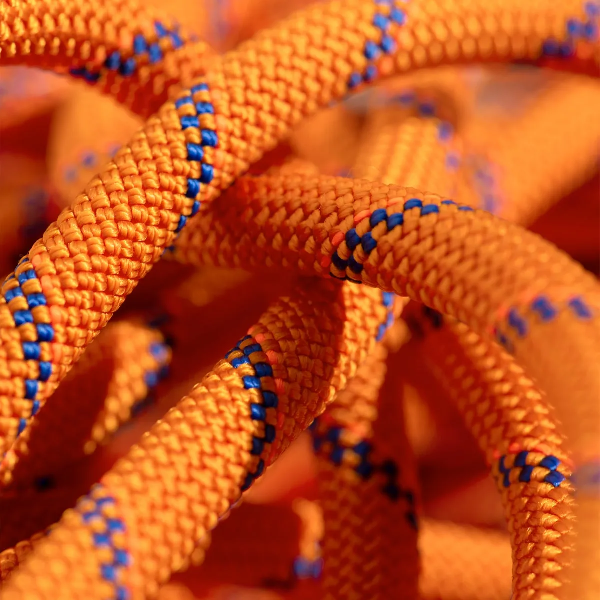 Mammut 9.0 Alpine Sender Dry Rope 50m Sunrise-ice