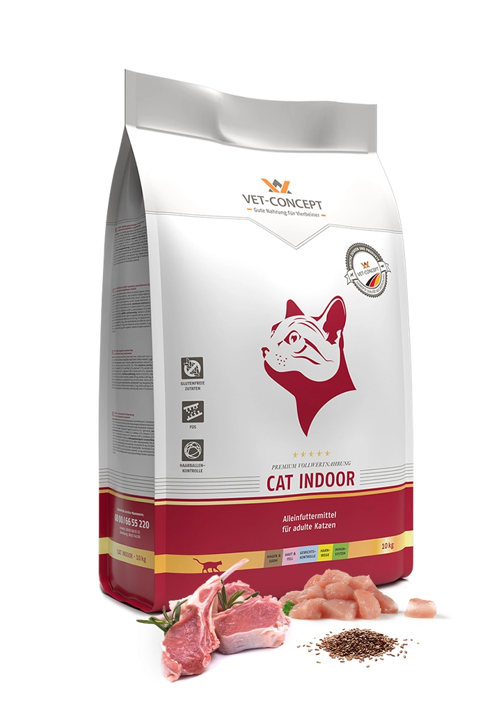 Cat Indoor