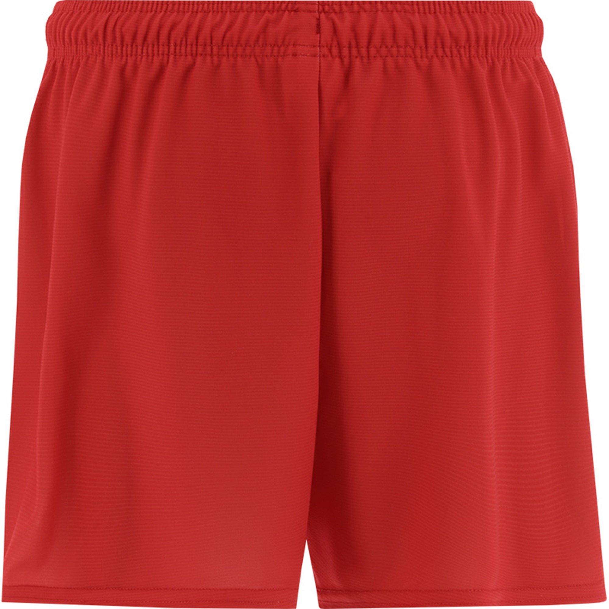 ONeills Tyrone Mourne Shorts Senior