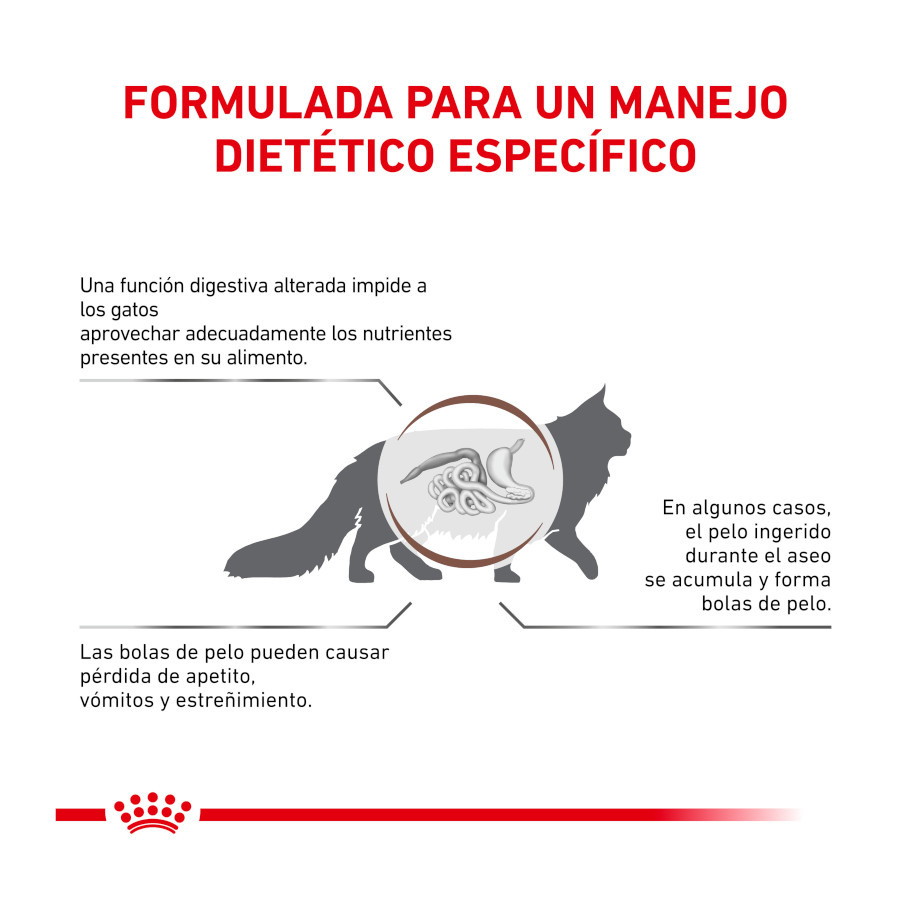 Ração Royal Canin Veterinary Gastrointestinal Hairball para gatos
