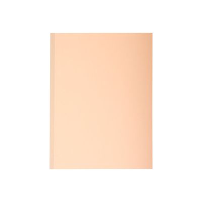 Exacompta Forever - 10 Chemises à soufflet - 320 gr - couleurs assorties