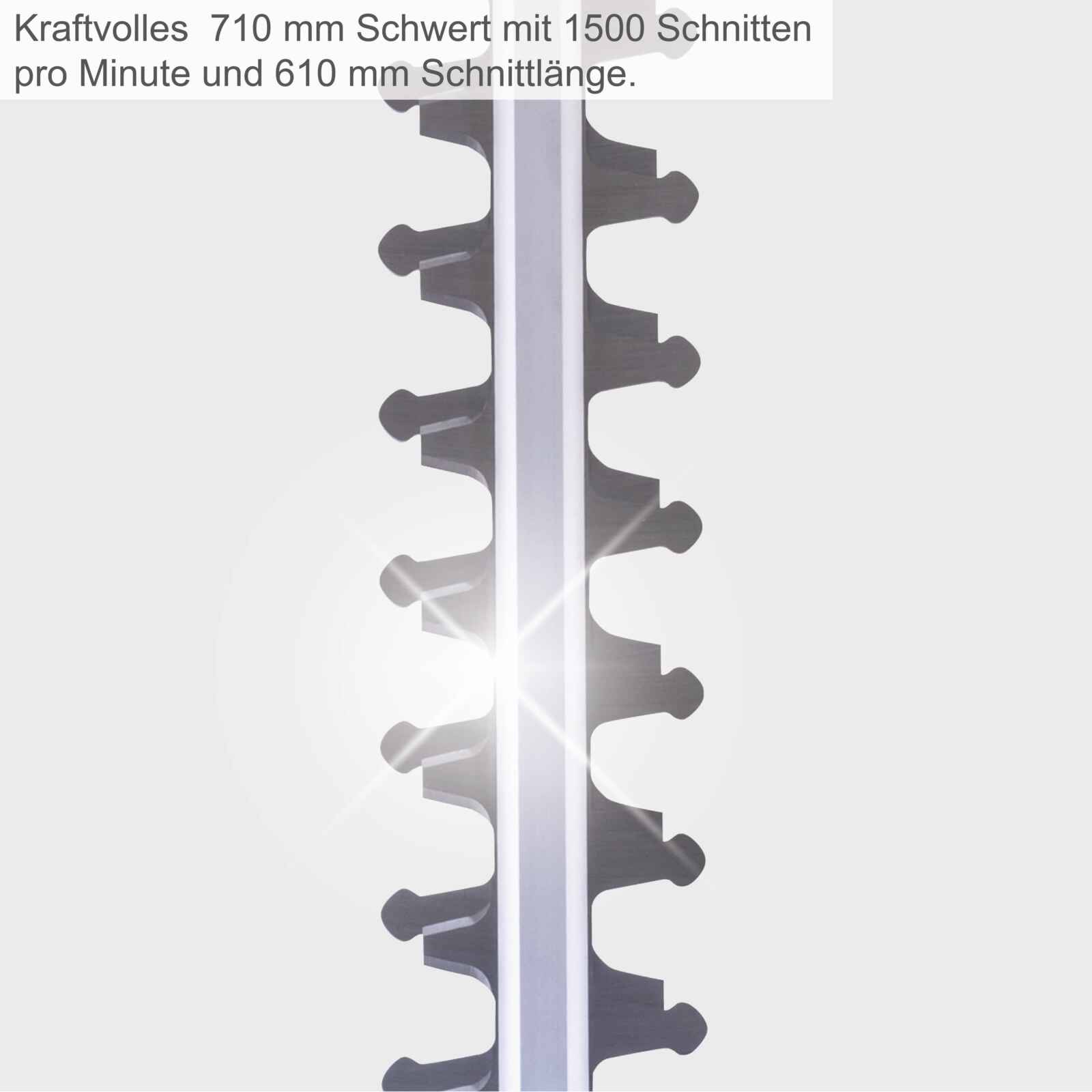 Scheppach Elektro-Heckenschere EHT610
