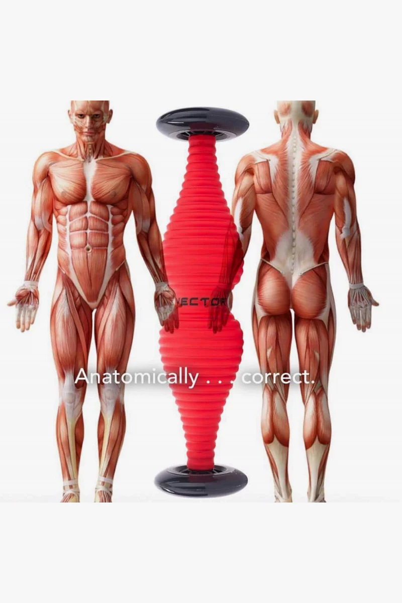 T-Pin Vector T-Pin Faszienrolle