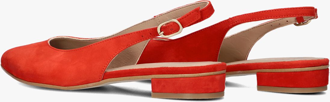 rode lina locchi slingbacks 010-72