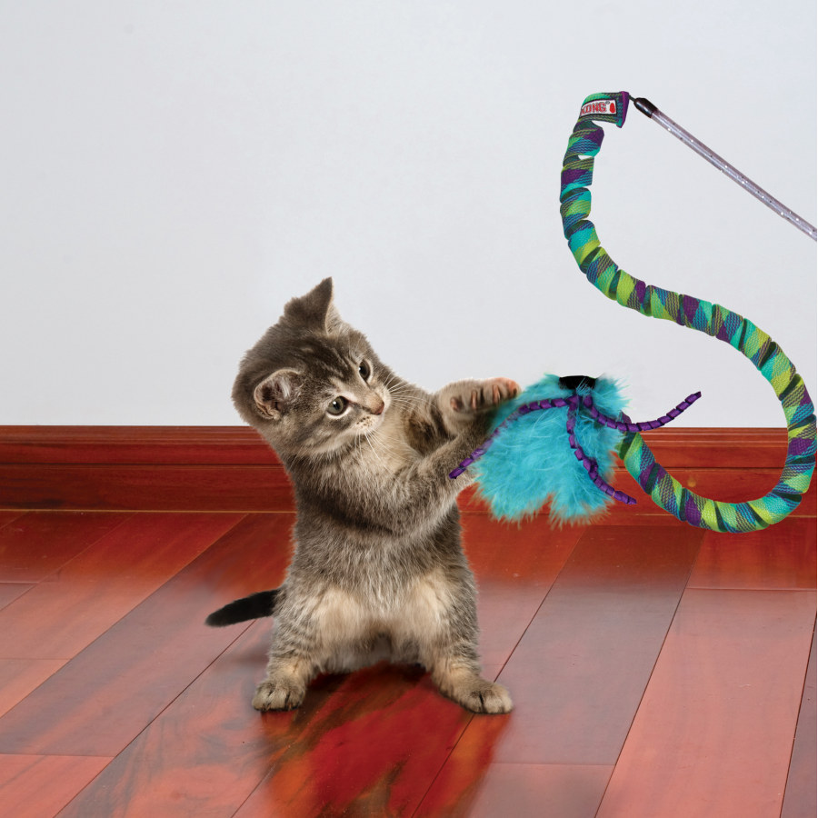 Varinha de penas Kong Teaser Curlz para gatos