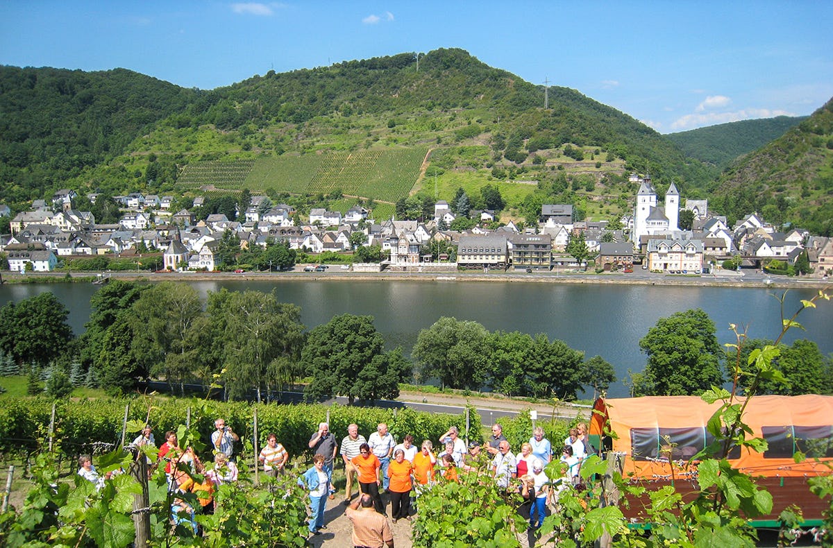 Weinausflug & Schifffahrt auf der Mosel