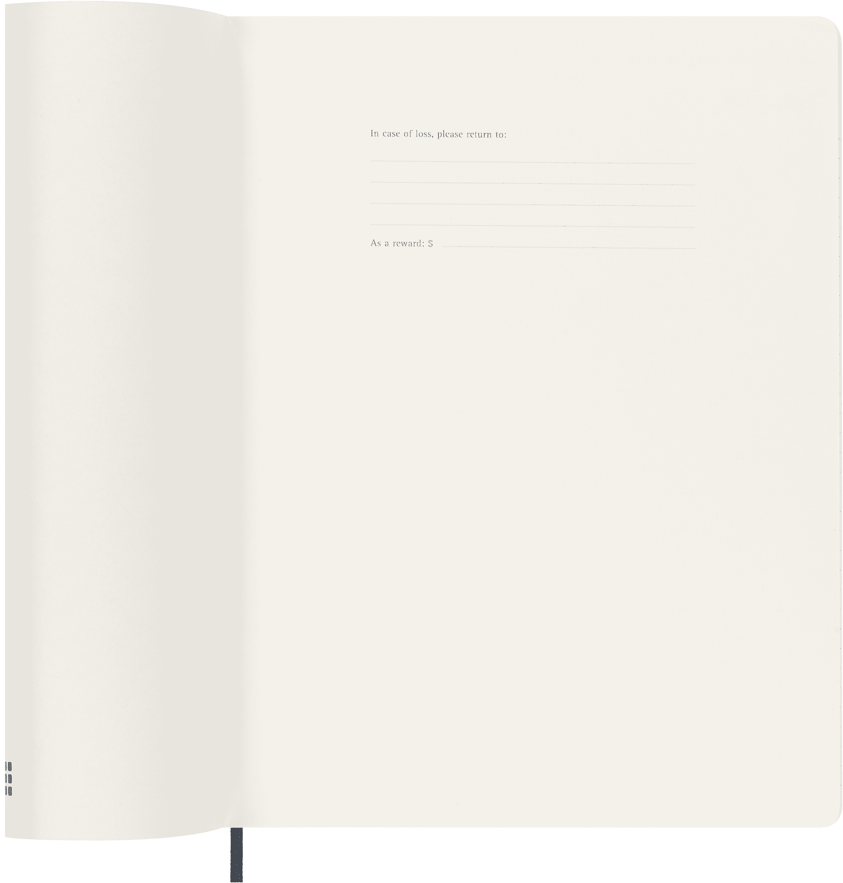 Classic Planner 2025 XL Weekly, soft cover, 12 months