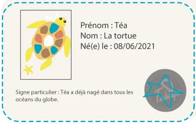 Téa la tortue