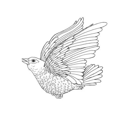 Clairefontaine Malbuch für Erwachsene Natur, 24 Blatt