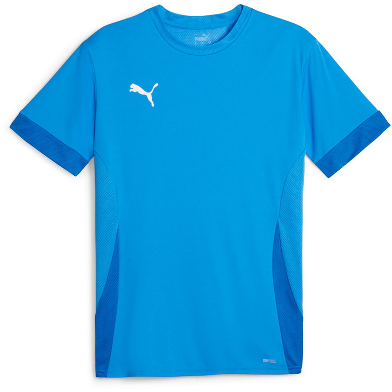 Puma GOAL Trainingsset