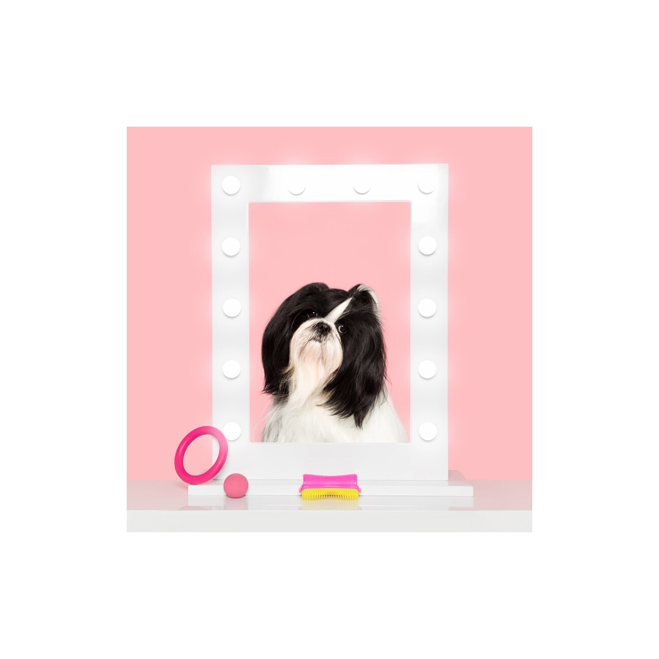 New Flag Pet Teezer Detangling pink