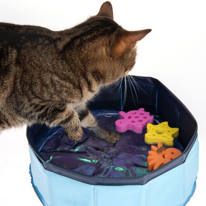 Jouet Kitty Lake
