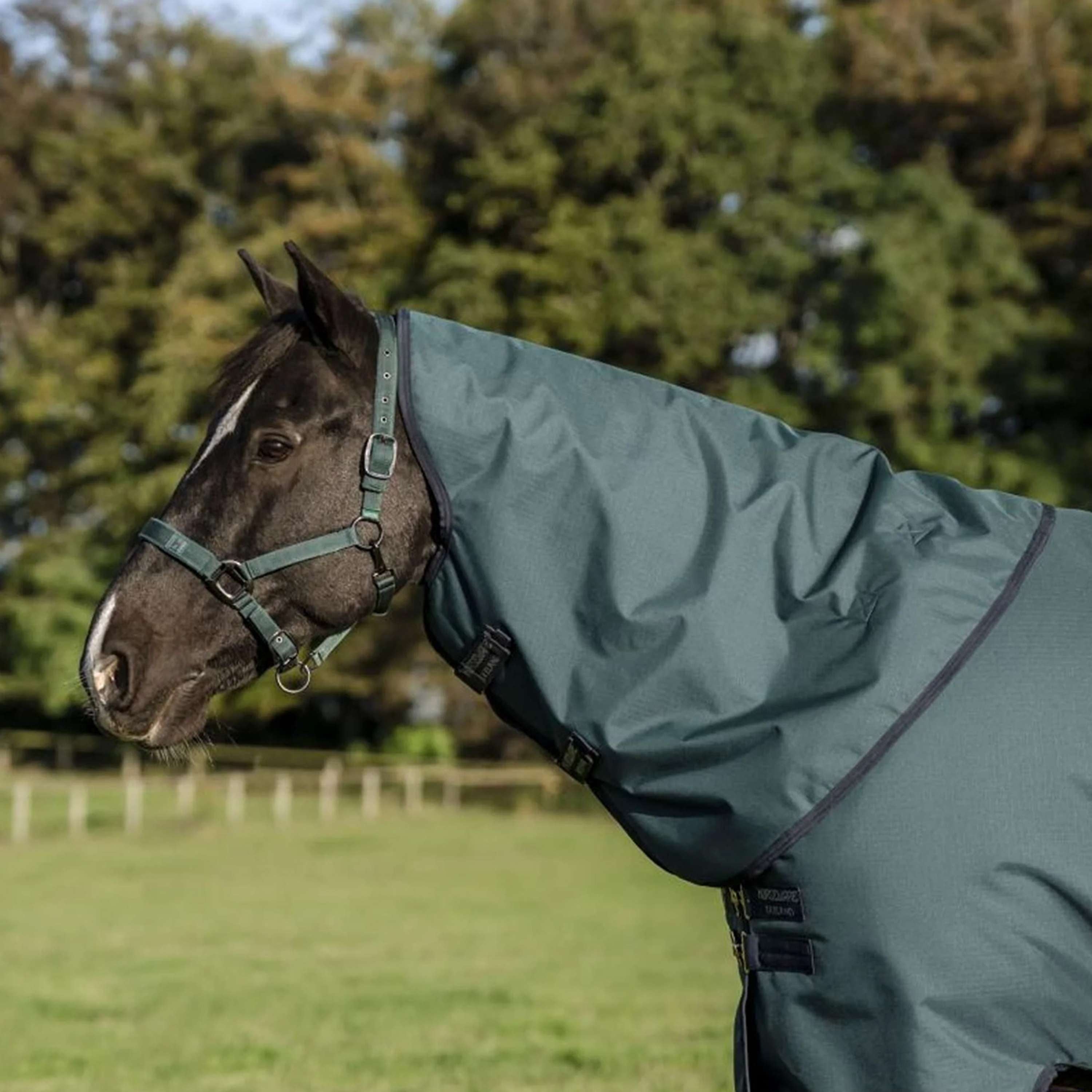 Amigo Ripstop 900D Plus Pony 0g Dynasty Green/Navy/Silver
