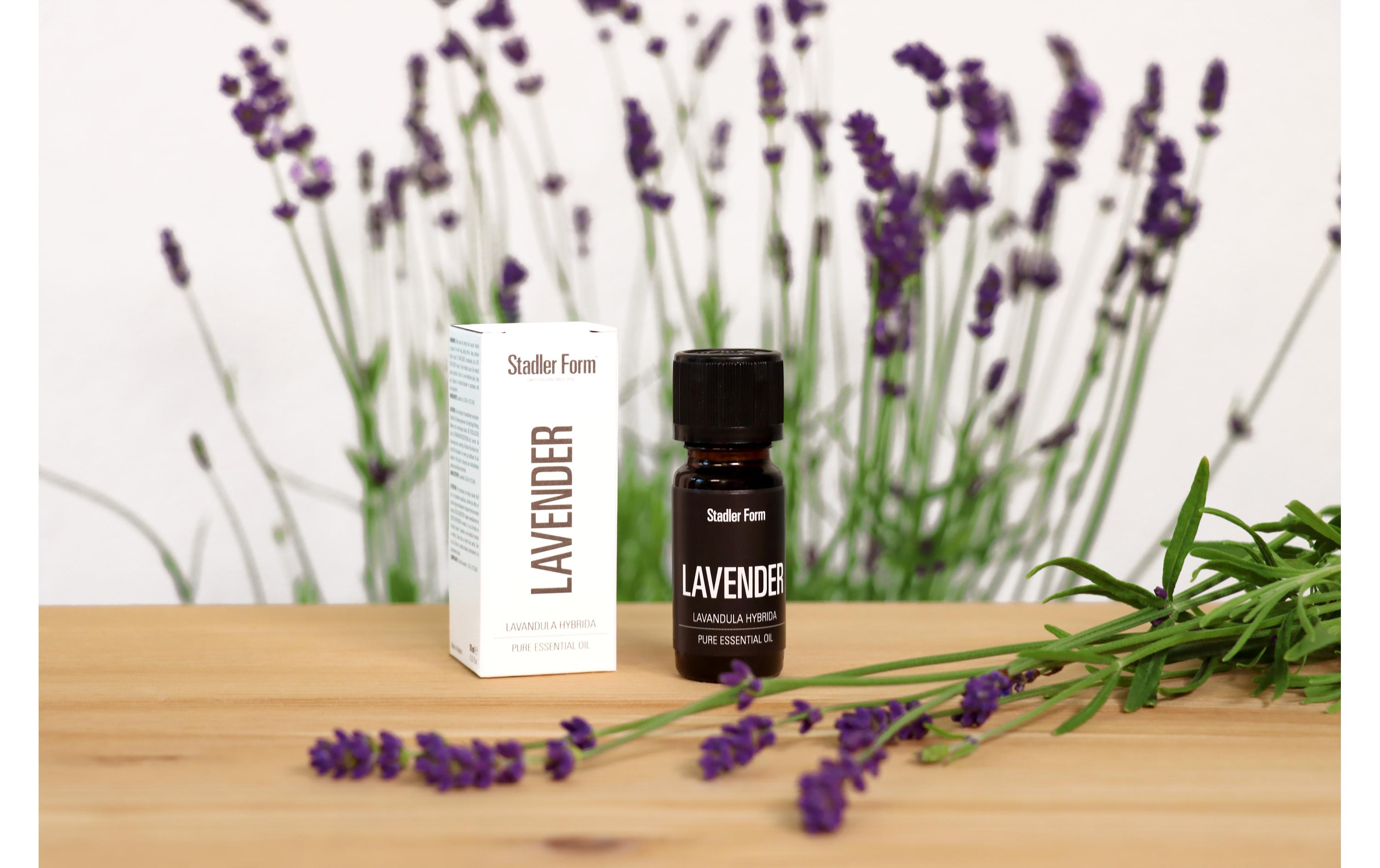 Duftöl Lavender Lavendel 10 ml 1 StückAromaöl für Aroma Diffuser, Luftbefeuchter und Luftwäscher