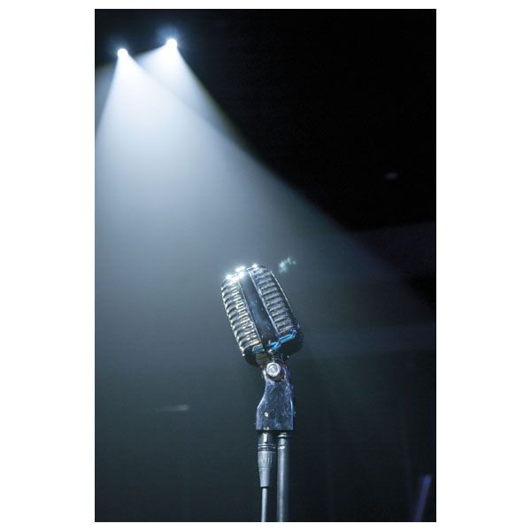 DAP VM-60 60's Vintage Microphone dynamische zangmicrofoon