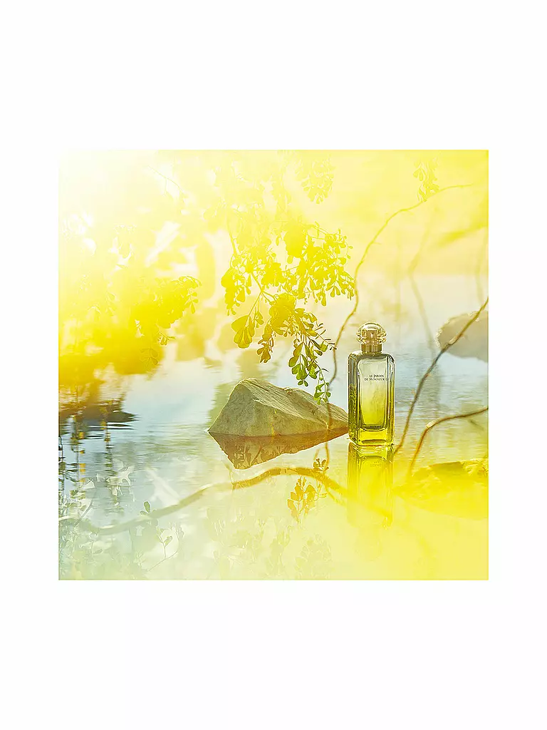 HERMÈS Le Jardin de Monsieur Li Eau de Toilette 100ml keine Farbe
