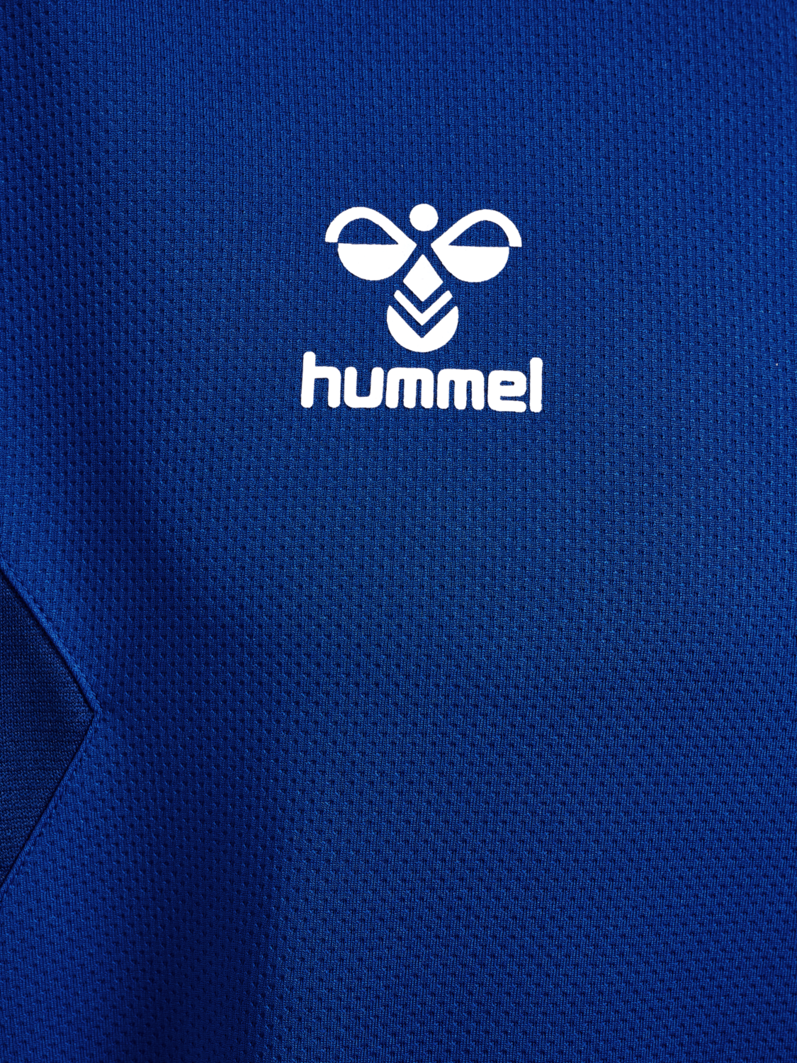 hmlAUTHENTIC PL HOODIE